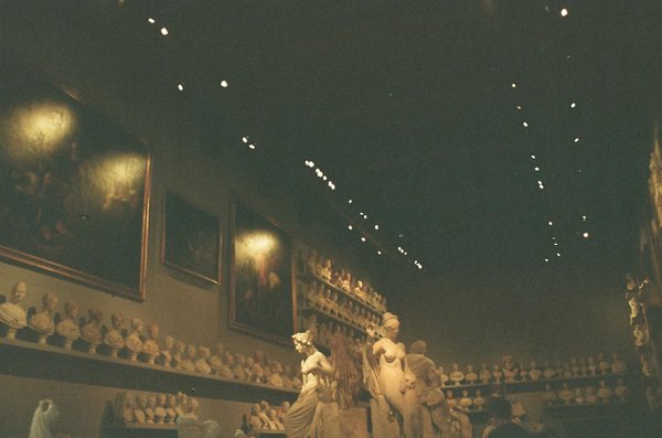 Assurance chien : les clés pour un choix éclairé